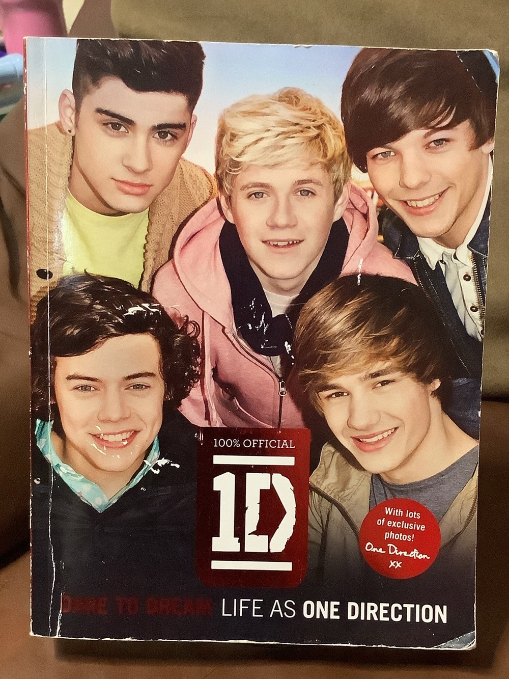 One Direction 100% Official 'Life As One Direction' Book - Pink & Red Accents